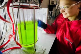 An IBioIC scientist monitoring and sampling a photobioreactor of cyanobacteria. Picture: contributed.