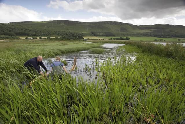 A new report suggests more than 130,000 new green jobs could be created across Scotland