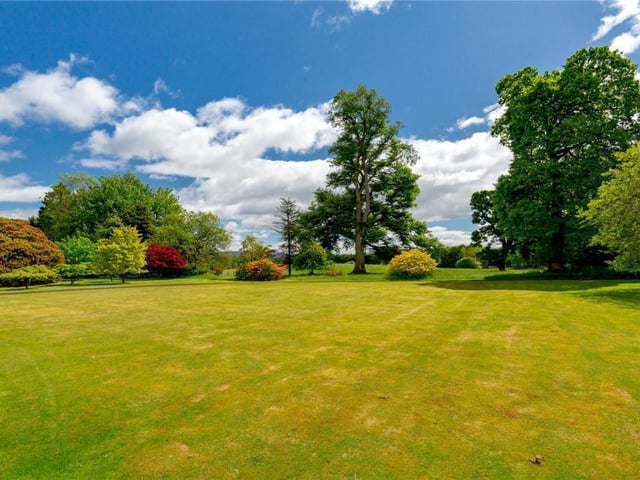 Front garden.