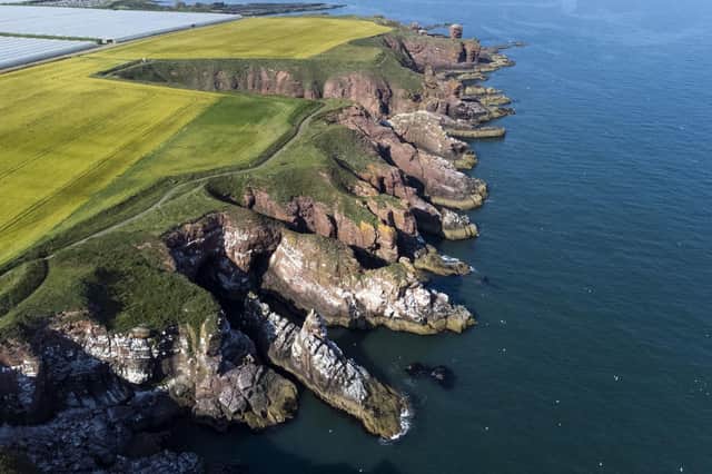 Arbroath Cliffs under which is a network of caves along the Angus coast, as a conservation charity is appealing to Scotland's seaside communities as it seeks to change the "unfulfilled dream" of having a coastal and marine national park. Photo: Jane Barlow/PA Wire