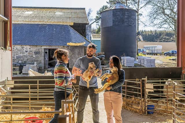 Malcolm Roughead, says that volunteering, such as helping with lambing at The Sheep Shed and Barley Bothy near Huntly, will play a huge role in Scottish tourism.