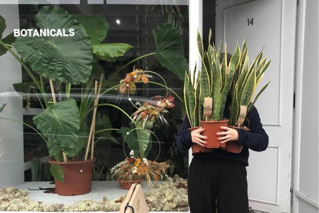 After establishing its first site in Glasgow's southside two years ago, Apercu recently branched out into Edinburgh's west end - opening their new store in Haymarket this August. Here you'll find a flourishing range of cacti and succulents, terrariums and small to giant houseplants. This houseplant haven also offers up pots, accessories and even Marimo moss balls (the adorable spherical balls of algae hailing from Japan), meaning there is always something for every curious customer.

14 Haymarket Terrace, Edinburgh EH12 5JZ