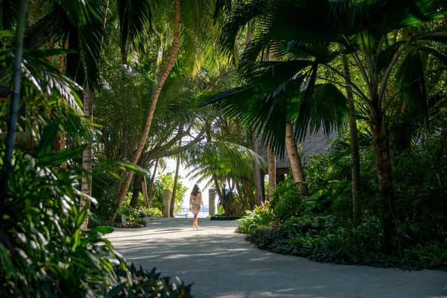 The vegetation at Baros resort. Pic: Baros/PA.