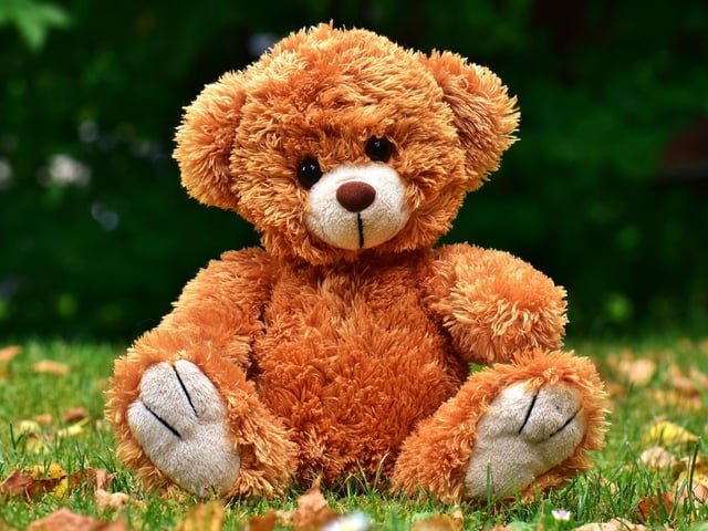 Fuzzy Wuzzy was a bear.
Fuzzy Wuzzy had no hair.
Fuzzy Wuzzy wasn’t very fuzzy, was he?