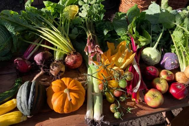 Tara Wight, Scotland policy and campaigns coordinator for the Landworkers’ Alliance, said: “During times of crisis such as this, it is community resilience and local food systems built on a bedrock of small-scale agriculture that will see us through." Picture: Landworkers' Alliance