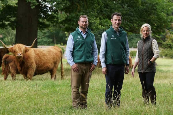 Left to right: Fergus Thomson, Hugh Rettie and Lucy Murray of Edinburgh-headquartered Rettie & Co. Picture by Stewart Attwood