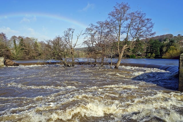 The Derwent was in an angry mood yesterday close to Belper River Gardens.