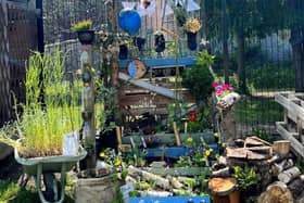 Banchory Academy won the Wildlife gardening theme