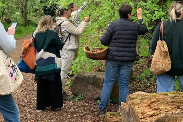 Village Green Gathering Foraging Event