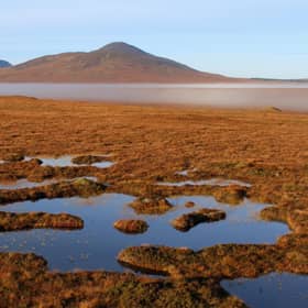 The vast expanse of wetland and peatland in Caithness and Sutherland is the largest of its kind in Europe (Picture: Getty Images)