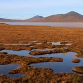 The vast expanse of wetland and peatland in Caithness and Sutherland is the largest of its kind in Europe (Picture: Getty Images)