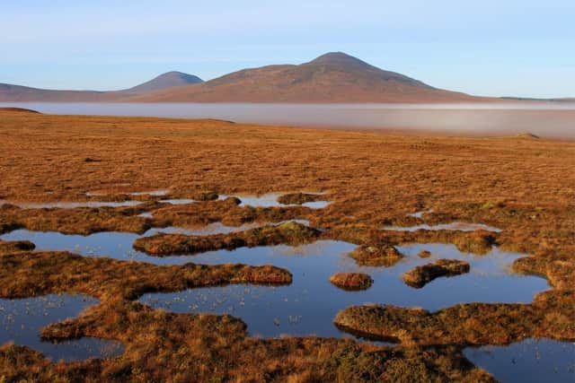 The vast expanse of wetland and peatland in Caithness and Sutherland is the largest of its kind in Europe (Picture: Getty Images)