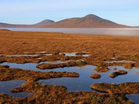The vast expanse of wetland and peatland in Caithness and Sutherland is the largest of its kind in Europe (Picture: Getty Images)