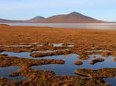 The vast expanse of wetland and peatland in Caithness and Sutherland is the largest of its kind in Europe (Picture: Getty Images)