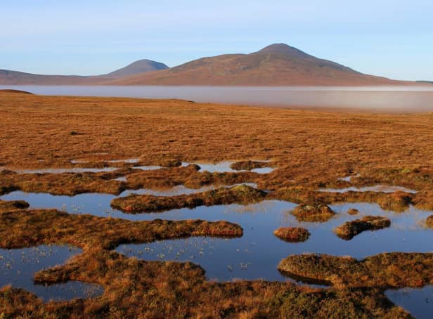 The vast expanse of wetland and peatland in Caithness and Sutherland is the largest of its kind in Europe (Picture: Getty Images)