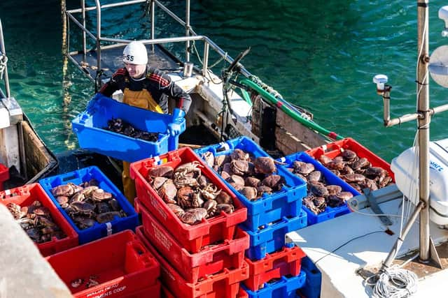 NFLA campaigners described the report as “alarming” and called on authorities in Britain and Ireland to review measures designed to protect ferries, oil tankers and fishing trawlers that operate near the Dyke.