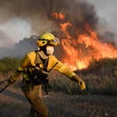 Firefighters try to extinguish a wildfire next to the village of Tabara, near Zamora, northern Spain, where temperatures reached 43C. Picture: Miguel Riopa/AFP via Getty Images