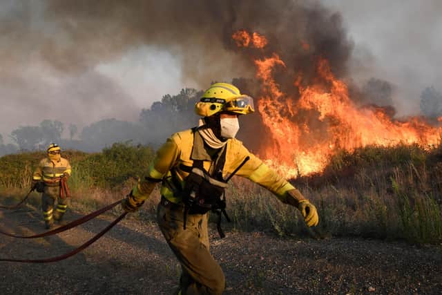 Firefighters try to extinguish a wildfire next to the village of Tabara, near Zamora, northern Spain, where temperatures reached 43C. Picture: Miguel Riopa/AFP via Getty Images