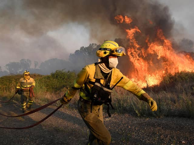 Firefighters try to extinguish a wildfire next to the village of Tabara, near Zamora, northern Spain, where temperatures reached 43C. Picture: Miguel Riopa/AFP via Getty Images