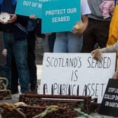 Campaigners are calling for the Scottish Government to ban damaging fishing methods such as trawling and dredging in sensitive seabed areas. Picture: Jeremy Sutton-Hibbert
