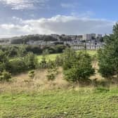 St Fitticks Park is a popular and valued greenspace for locals of all ages in Torry, on the outskirts of Aberdeen -- one of the most deprived areas in Scotland