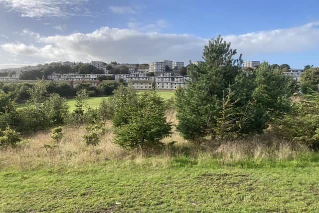 St Fitticks Park is a popular and valued greenspace for locals of all ages in Torry, on the outskirts of Aberdeen -- one of the most deprived areas in Scotland