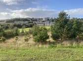 St Fitticks Park is a popular and valued greenspace for locals of all ages in Torry, on the outskirts of Aberdeen -- one of the most deprived areas in Scotland
