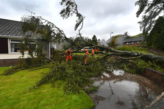 A tree destroyed part of the pavement on Kirkintilloch Road in Lenzie and and narrowly avoided a house garden. Picture: John Devlin.