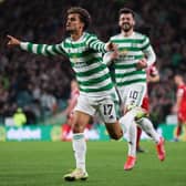 Celtic's Jota could join permenently soon.  (Photo by Craig Williamson / SNS Group)