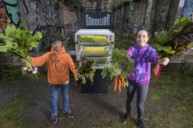 Mark and Gemma Stewart helped to launch the Dandelion project at Govan Dry Dock in Glasgow. Picture: Wattie Cheung