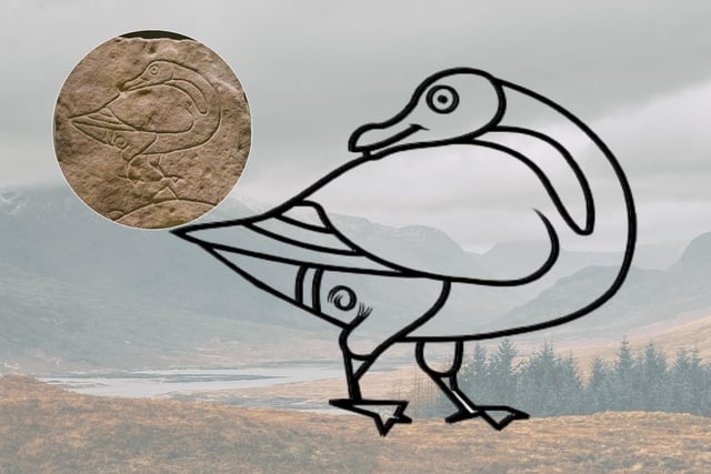 The Goose (or Duck) is a rare Pictish symbol that dates to the 5-6th century. Its meaning to the Picts is uncertain as not only is the design not common but as the region we know now as Scotland assimilated from Pictish to Gaelic this caused the Pictish language (along with its oral knowledge) to be lost. Interestingly, some ancient Celts saw the Holy Spirit not as a white dove but as a ‘wild goose’, perhaps there’s a connection.