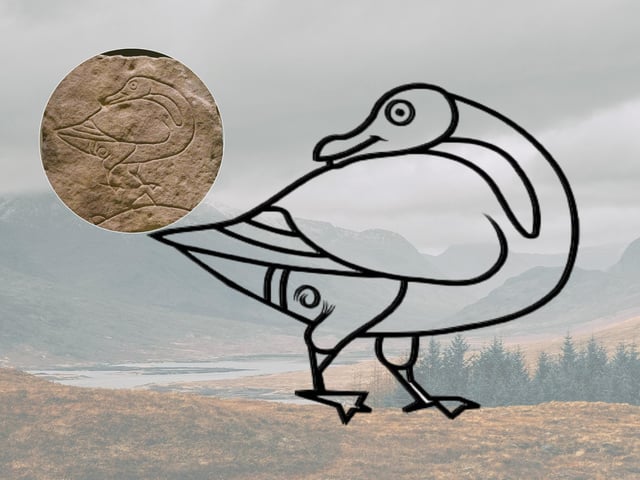 The Goose (or Duck) is a rare Pictish symbol that dates to the 5-6th century. Its meaning to the Picts is uncertain as not only is the design not common but as the region we know now as Scotland assimilated from Pictish to Gaelic this caused the Pictish language (along with its oral knowledge) to be lost. Interestingly, some ancient Celts saw the Holy Spirit not as a white dove but as a ‘wild goose’, perhaps there’s a connection.
