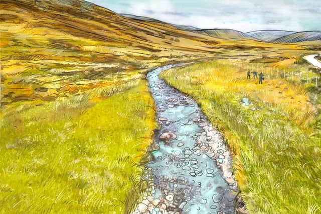 This illustration shows how a stretch of river in Glen Prosen looks now – in a fairly barren landscape