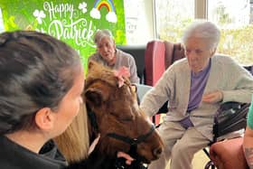 One of the ponies enjoys being the centre of attention at the care home