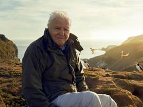 The BBC will not broadcast Attenborough episode over fear of rightwing backlash according to reports in The Guardian