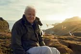The BBC will not broadcast Attenborough episode over fear of rightwing backlash according to reports in The Guardian