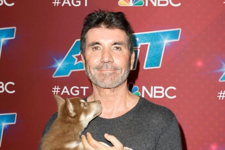 Music and reality television mogul Simon Cowell, may have a tough reputation, but that doesn't extend to four-legged friends - he has four dogs including a pair of Yorkshire Terriers called Squiddly and Diddly.