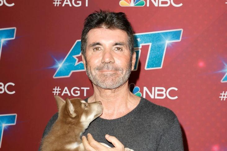 Music and reality television mogul Simon Cowell, may have a tough reputation, but that doesn't extend to four-legged friends - he has four dogs including a pair of Yorkshire Terriers called Squiddly and Diddly.