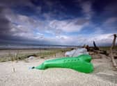 Plastic pollution is a growing problem with tiny fragments getting into the food chain (Picture: Christopher Furlong/Getty Images)
