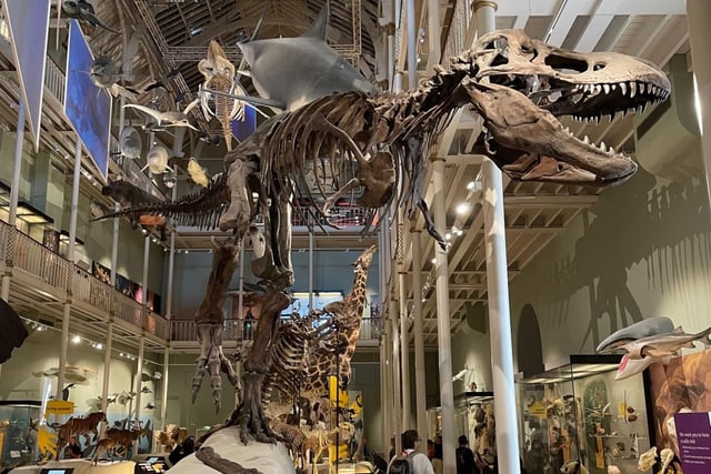 Even if you've been numerous times in the past, there's always something new to discover in the National Museum of Scotland, on the city's Chambers Street. Youngsters particularly love the huge natural history section, with everything from dinosaur skeletons to whales.