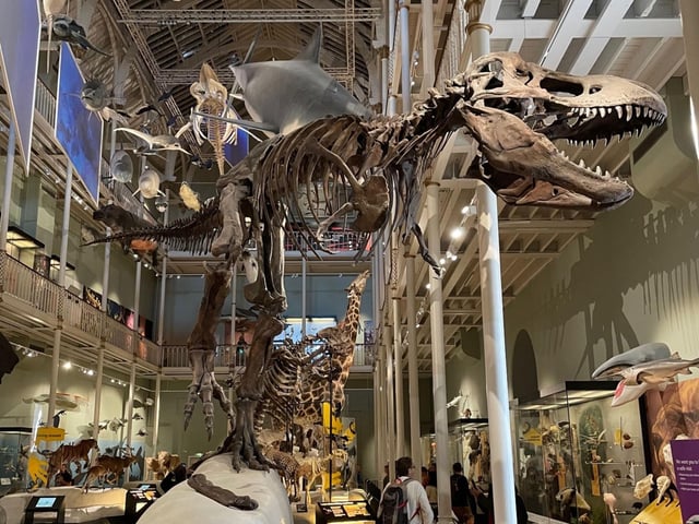 Even if you've been numerous times in the past, there's always something new to discover in the National Museum of Scotland, on the city's Chambers Street. Youngsters particularly love the huge natural history section, with everything from dinosaur skeletons to whales.