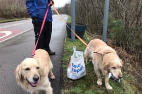 Dog owners have been beating the January blues by helping pick up litter on their daily walks.