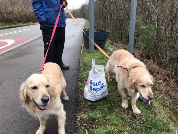Dog owners have been beating the January blues by helping pick up litter on their daily walks.