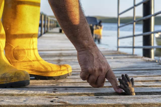 Molly and Billy connecting on the pontoon.(National Geographic/Charlie Hamilton James)