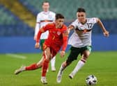 Harry Wilson in action for Wales against Bulgaria earlier this week