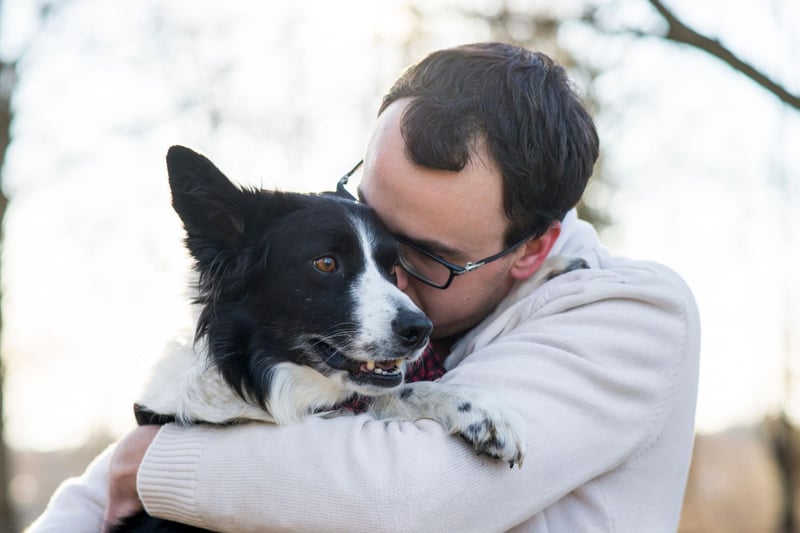 Considering that the intelligent Border Collie has been bred to work incredibly closely with their owner to herd sheep, it's perhaps no surprised that the relationship can be pretty intense from the dog's point of view. Time apart from their owner can lead to this breed becoming destructive.