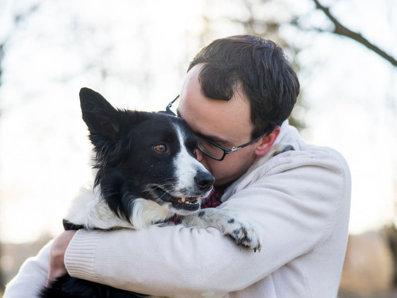 Considering that the intelligent Border Collie has been bred to work incredibly closely with their owner to herd sheep, it's perhaps no surprised that the relationship can be pretty intense from the dog's point of view. Time apart from their owner can lead to this breed becoming destructive.
