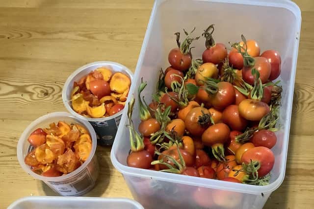 Rosehips are a versatile and tasty crop