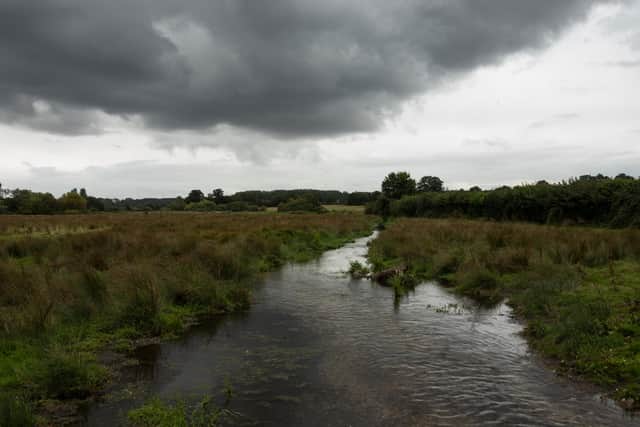 Chalk streams like the River Ver, seen near St Albans, are so important as habitats that they have been compared to the rainforest (Picture: Dan Kitwood/Getty Images)