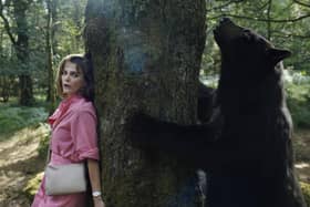 Cocaine Bear